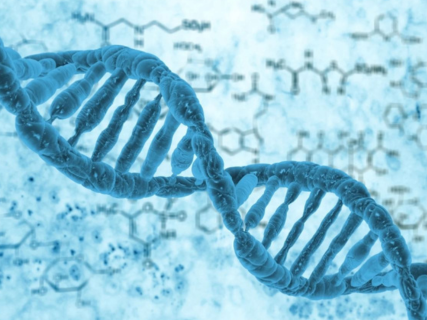 Genetic Factors and Cancer Risk: Understanding Hereditary Influences